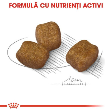 Royal Canin Mini Dental Care Adult – Hrană Uscată pentru Câini Adulți de Talie Mică, pentru Igienă Orală – 1 kg